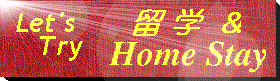 Let's Try Home Stay