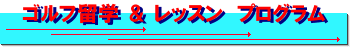 ゴルフ留学、ゴルフレッスンプログラム